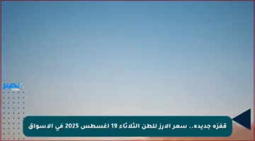 قفزة جديدة.. سعر الأرز للطن الثلاثاء 19 أغسطس 2025 في الأسواق